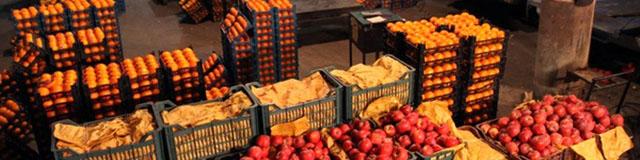 مشکلی در تنظیم بازار میوه شب عید وجود ندارد