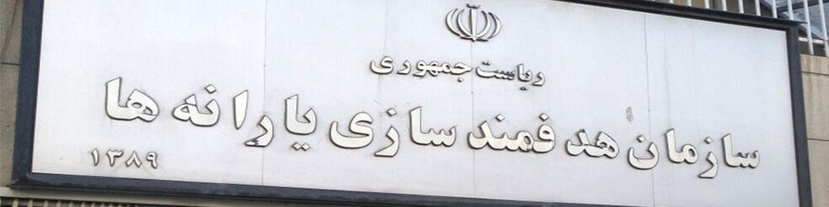 سرپرست سازمان هدفمندسازی یارانه‌ها منصوب شد