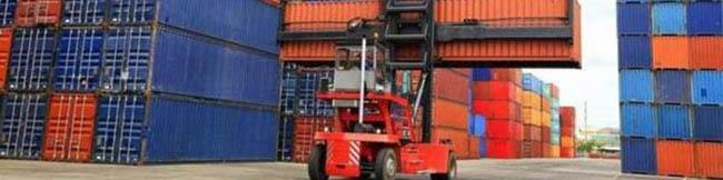 فولادی‌ها و پتروشیمی‌ها طلا وارد نکنند