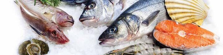 تجارت ۶۵۰ میلیون دلاری آبزیان در سال ۱۴۰۲