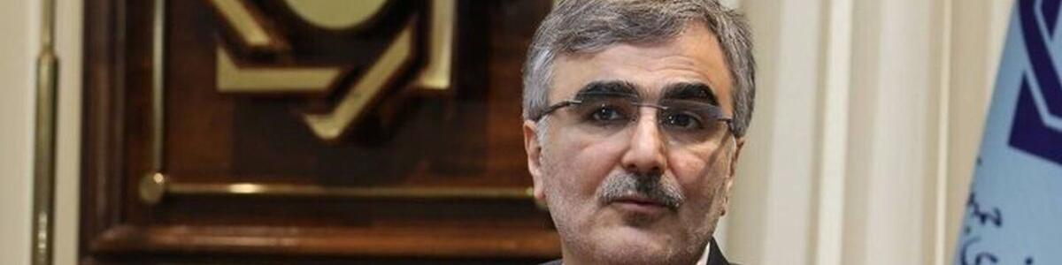 آمادگی ایران برای ایجاد نهاد مالی مشترک میان کشورهای عضو بریکس