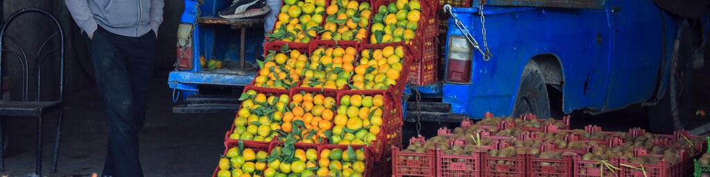 صدور فاکتور رسمی برای عمده‌فروشان میوه و تره‌بار الزامی شد