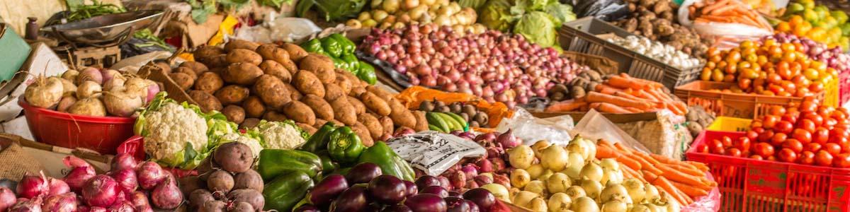 با گران‌فروشان بازار میوه برخورد تعزیراتی می‌شود