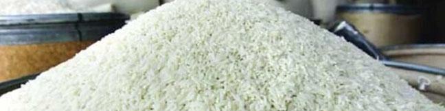 برنج وارداتی کماکان مشمول دریافت ارز ترجیحی باقی ماند