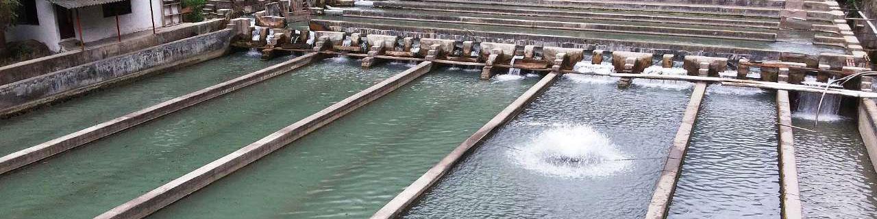 مزارع شیلاتی به ۲۶ هزار مورد افزایش می‌یابد