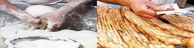 عضو انجمن صنفی آرد سازان ایران: شرکت‌های دولتی واردکننده غلات، سیلو نگهداری ندارند