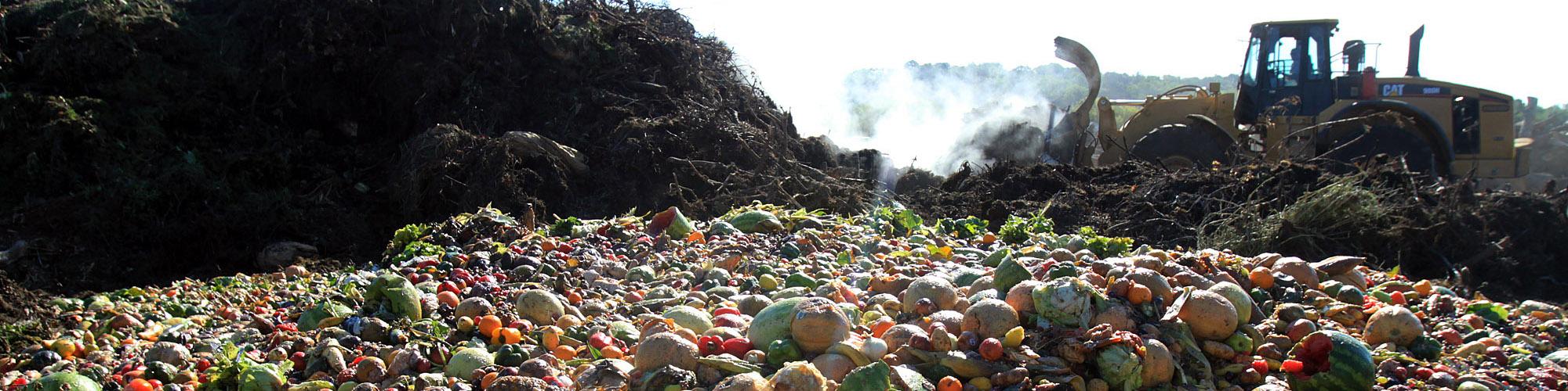 بیش از ۲۵درصد از محصولات کشاورزی در ایران ضایع می‌شود