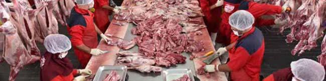 نیازی به واردات گوشت برای تنظیم بازار نداریم