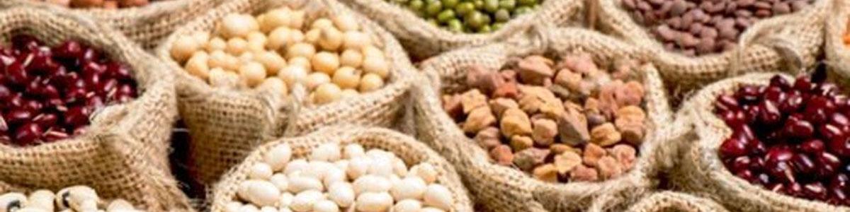 قیمت خرید تضمینی ۱۱ محصول اساسی کشاورزی اعلام شد