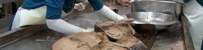 تولید کنندگان مواد غذایی حق استفاده از اتباع خارجی را ندارند