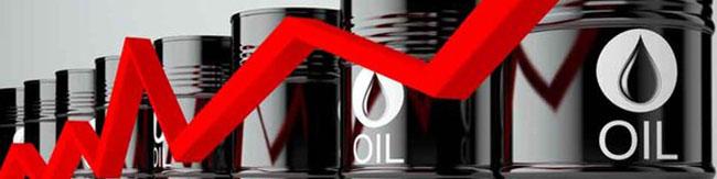 قیمت نفت صعودی شد