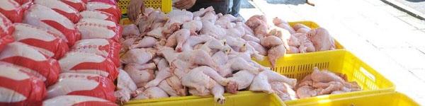 مقصر گرانی مرغ معلوم شد