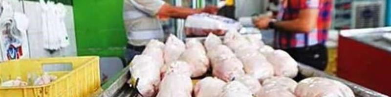 آغاز روند کاهشی قیمت مرغ در بازار