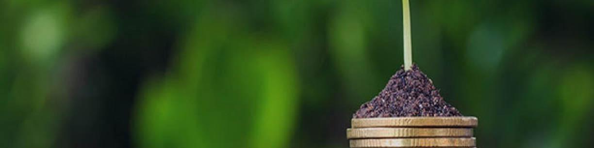 ریسک خطر بخش کشاورزی با بیمه محصولات به حداقل می‌رسد