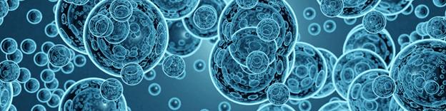 انقلاب نانوحباب‌ها در صنعت کشاورزی