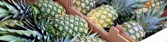 واردات میوه‌های خارجی، کشاورزی ایران را زمین می‌زند