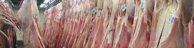 تخصیص ارز نیمایی به واردات گوشت کارخانه‌های سوسیس و کالباس/ حذف گوشت تنظیم بازاری با سیاست‌های ارزی!