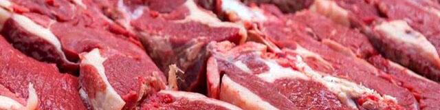 تبدیل ایران از واردکننده محصولات دامی به صادرکننده/ در گوشت، مرغ و تخم مرغ به خودکفایی رسیدیم