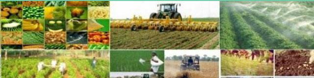 لیست کالاهای درصدی بخش کشاورزی اعلام شد