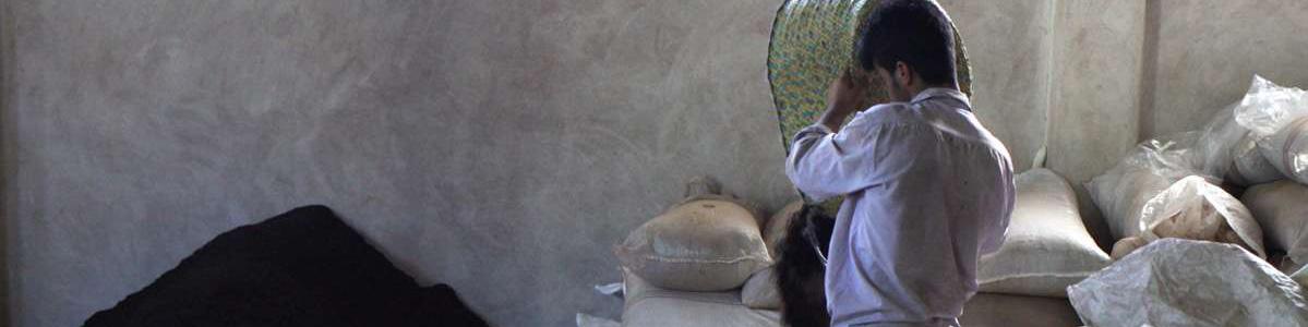 واردات قهوه از ۵۰ هزارتن فراتر می‌رود