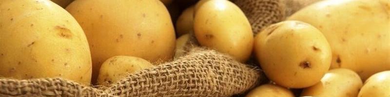 دلایل اوج‌گیری دوباره قیمت سیب‌زمینی/ ارزانی نوبرانه‌ها از ابتدای اردیبهشت