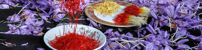 صادرات زعفران به مرز ۱۸۵ میلیون دلار رسید