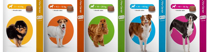 همه چیز درباره قرص براوکتو: طریقه مصرف، عوارض و نکات مهم