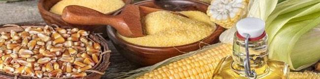 دانه‌های روغنی در حادثه اسکله شهید رجایی آسیبی ندیدند