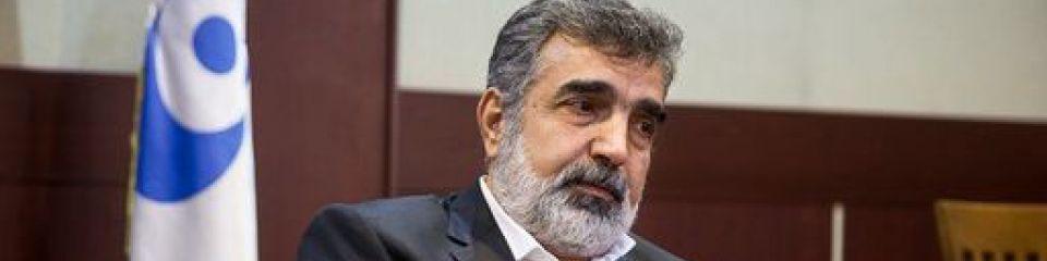 ترامپ شجاعت خروج از برجام را ندارد/ در کمتر از 48 ساعت میتوانیم به غنیسازی 20 درصد برگردیم