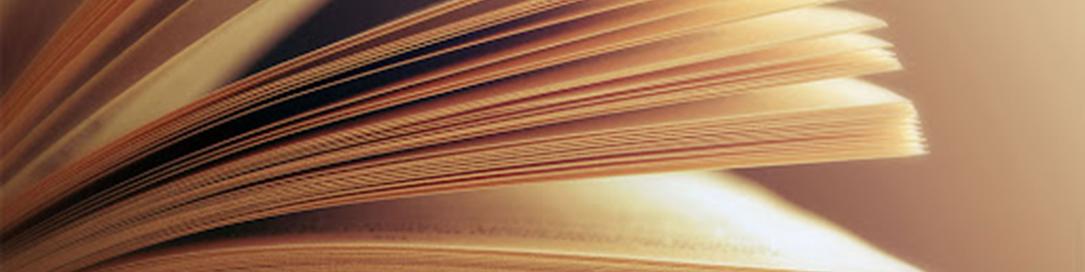 انتقادها از طرح تولید کاغذ با استفاده از کاه در کشور/ ۱۵ سال دیگر دامها کاه هم برای خوردن ندارند