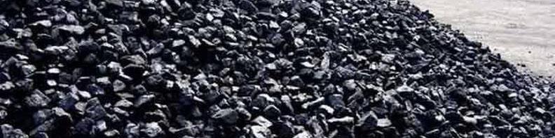 ایران جزو ۷ کشور برتر جهان در تولید کک اسفنجی