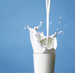 شیر یارانه‌ای 350 تومان است ولی تولید کاهش یافته است
