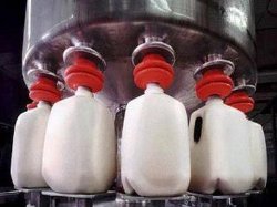 تداوم تخصیص یارانه شیر به تولیدکنندگان ضروری است