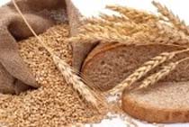 مصرف گندم 31 درصد کاهش یافت