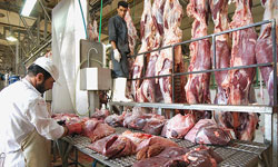 نرخ گوشت قرمز درسطح بازار 11 درصد کاهش یافت