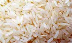 سه برابر نیاز کشور برنج وارد شده است
