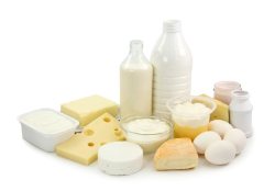 کارخانجات لبنی شیرخام با قیمت مصوب را می‌پذیرند/ شرط ثابت ماندن قیمت لبنیات