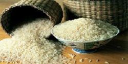 خطر آلودگی برنجهای هندی به آرسنیک/ تهاتر نفت باگندم و برنج اروگوئه ای