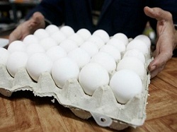 فروش تخم‌مرغ بیش از 7400 تومان ممنوع
