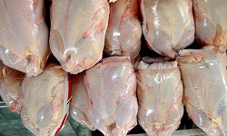 41 درصد از گوشت مرغ وارداتی از گمرک تهران ترخیص شد