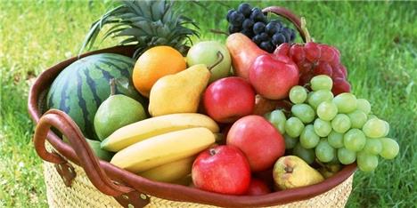 "صادر کنندگان میوه" در برابر ادعای خود پاسخگو نیستند