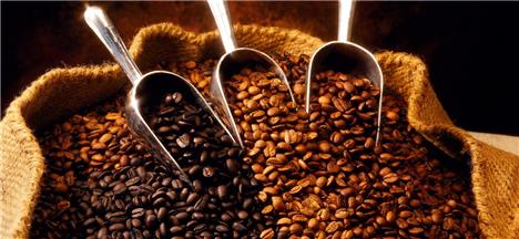 سقوط قیمت دانه کاکائو و افزایش قیمت دانه قهوه در بازار جهانی