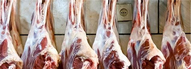 عدم صادرات پوست، قیمت گوشت گوسفند را افزایش داد