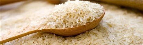 قیمت ها و کیفیت در بازار برنج کشور باید ساماندهی شود