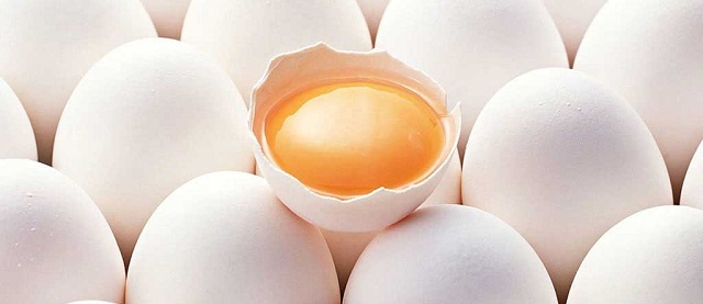 کاهش عرضه، عامل گرانی تخم‌مرغ است