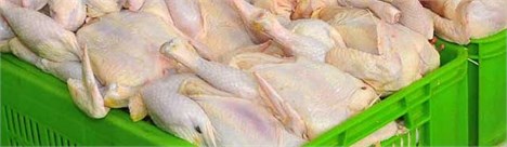 صادرات 8.9 هزار تن گوشت مرغ تا پایان مهرماه