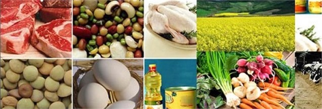 گزارش بانک مرکزی از قیمت 11 گروه کالای اساسی