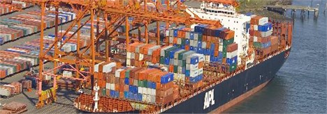 واردات کالاهای اولویت 10 تا دو هفته دیگر آزاد می‌شود