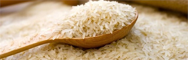 جای خالی "برنج ایرانی" در سبد کالا به خاطر مانع‌تراشی مسئولان است