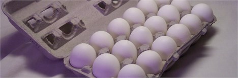 صادرات 45 هزار تن تخم مرغ در سال 92